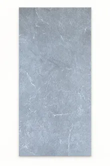 Harrat Silver 120 × 60 cm Matt porcelain tile, full tile surface