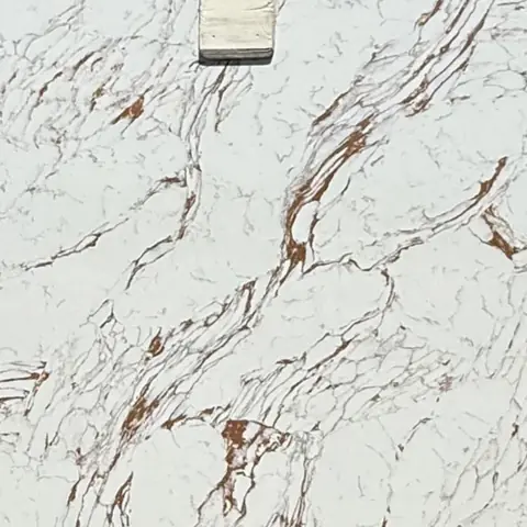 Calacatta Viola worktop
